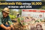 Sembrando Vida entrega $6,000 en marzo–abril 2026: cómo inscribirse y calendario oficial de depósitos